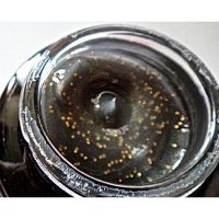 Ночной восстанавливающий крем для зрелой кожи HOLIKA HOLIKA Black Caviar Anti-Wrinkle Cream - вид 1 миниатюра