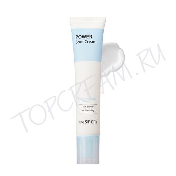 Точечный крем с керамидами THE SAEM Power Spot Ceramide Cream