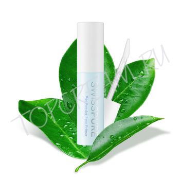 Точечный праймер SWISSPURE Wet Powder Spot Primer Точечный праймер SWISSPURE Wet Powder Spot Primer