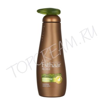 Шампунь Контроль над потерей волос ESTHAAR Scalp Energy Shampoo