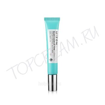 Разогревающий очищающий гель MIZON Black Clean Up Pore Heating Gel