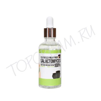 Сыворотка со 100% экстрактом галактомисиса 50 мл ELIZAVECCA Milky Piggy Galactomyces Ferment Filtrate 100% 50ml Сыворотка со 100% экстрактом галактомисиса 50 мл ELIZAVECCA Milky Piggy Galactomyces Ferment Filtrate 100% 50ml