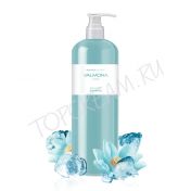 Восстанавливающий увлажняющий шампунь для волос 480 мл EVAS Valmona Recharge Solution Blue Clinic Nutrient Shampoo 480ml