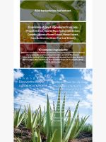 Пенка для умывания с алоэ вера THE SAEM Jeju Fresh Aloe Cleansing Foam - вид 5 миниатюра