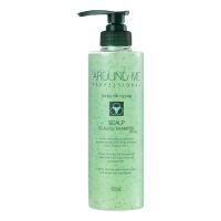 Отшелушивающий шампунь для волос и кожи головы WELCOS Around Me Professional Scalp Scaling Shampoo Plus 500ml