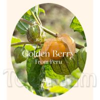 Осветляющий солнцезащитный крем для выравнивая тона кожи THE SAEM Urban Eco Golden Berry C Tone Up Sun Cream SPF50+ PA++++ - вид 3 миниатюра