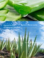 Экстраувлажняющий многофункциональный гель с 99%-ым алоэ вера THE SAEM Jumbo Size Jeju Fresh Aloe Soothing Gel 99%, 500 мл - вид 4 миниатюра
