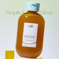 Шампунь для сухой кожи головы с прополисом LADOR Root Re-Boot Vitalizing Shampoo Propolis & Citron - вид 1 миниатюра