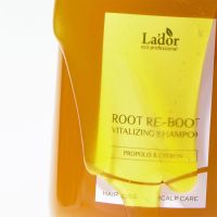Шампунь для сухой кожи головы с прополисом LADOR Root Re-Boot Vitalizing Shampoo Propolis & Citron - вид 2 миниатюра