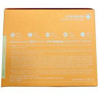 Крем для лица витаминный от пигментных пятен WELCOS Kwailnara Biomax Vita Niacin Dark Spot Cream - вид 2 миниатюра