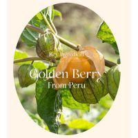 Осветляющий тонер от морщин и пигментации THE SAEM Urban Eco Golden Berry C Toning Water - вид 6 миниатюра