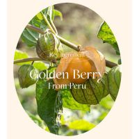 Осветляющий флюид от морщин и пигментации THE SAEM Urban Eco Golden Berry C Fluid 150ml - вид 6 миниатюра