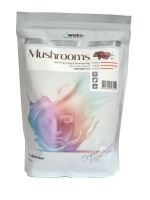Альгинатная маска с грибным комплексом 1 кг ANSKIN Original Mushroom Modeling Mask Refill 1000g