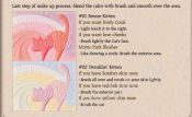 Стойкие сияющие румяна-хайлайтер HOLIKA HOLIKA Hello Holika Kitten Chic Blusher - вид 1 миниатюра