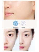BB крем с улиткой антивозрастной THE SAEM Snail Essential EX Origin BB Cream SPF38 PA+++ - вид 3 миниатюра