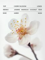 Лак для волос с протеинами шелка THE SAEM Silk Hair Style Spray - вид 3 миниатюра